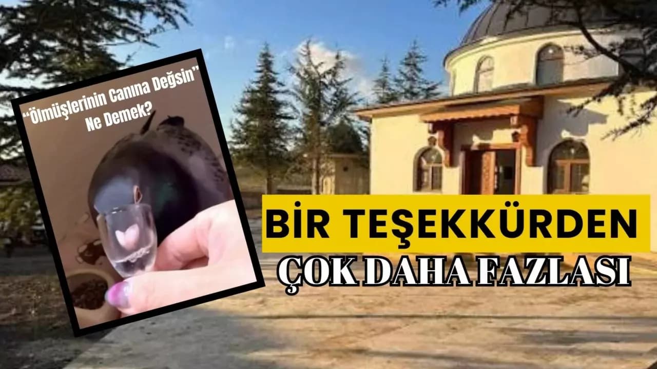 “Ölmüşlerinin Canına Değsin”: Anadolu’nun İçten Teşekkürlerinden Biri