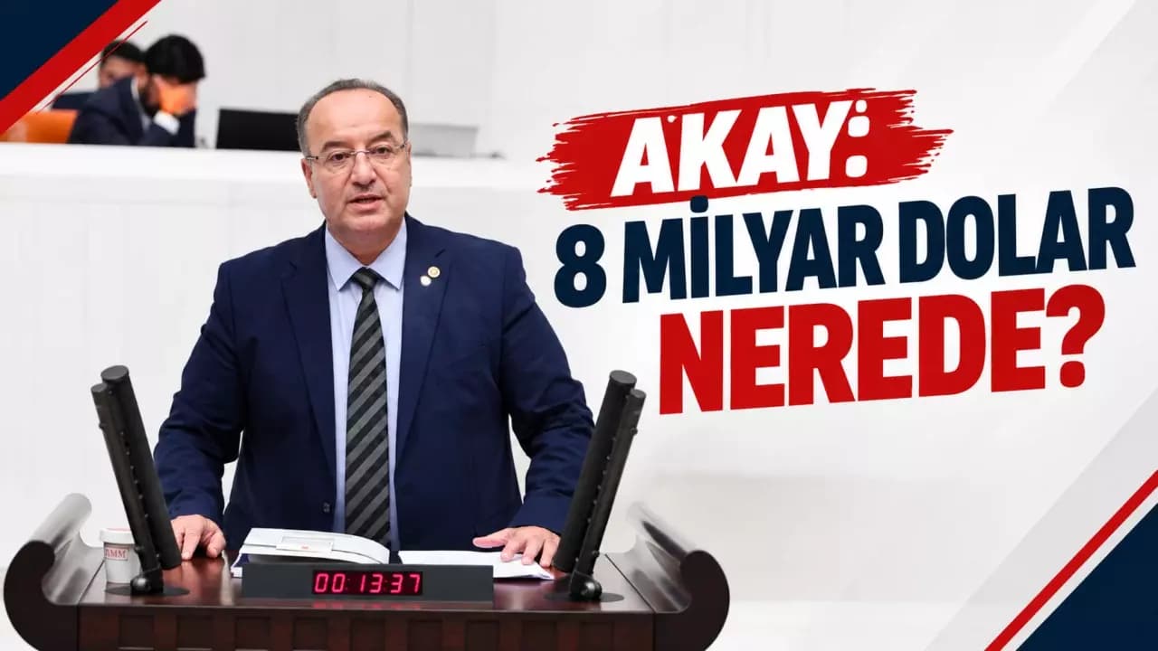 CHP’li Akay’dan 8 Milyar Dolar yurt dışına kaçırıldı iddiası