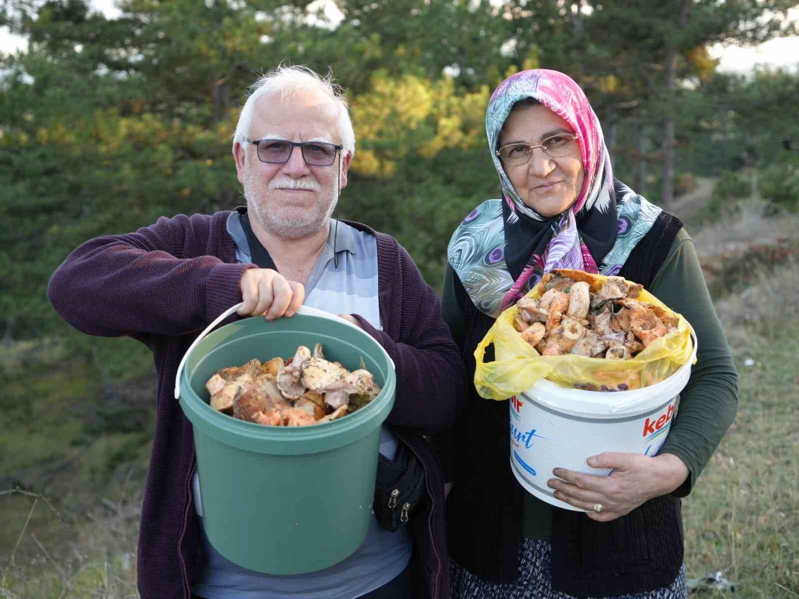Kastamonu’da mantar bereketi: Kovayı alan ormanın yolunu tutuyor