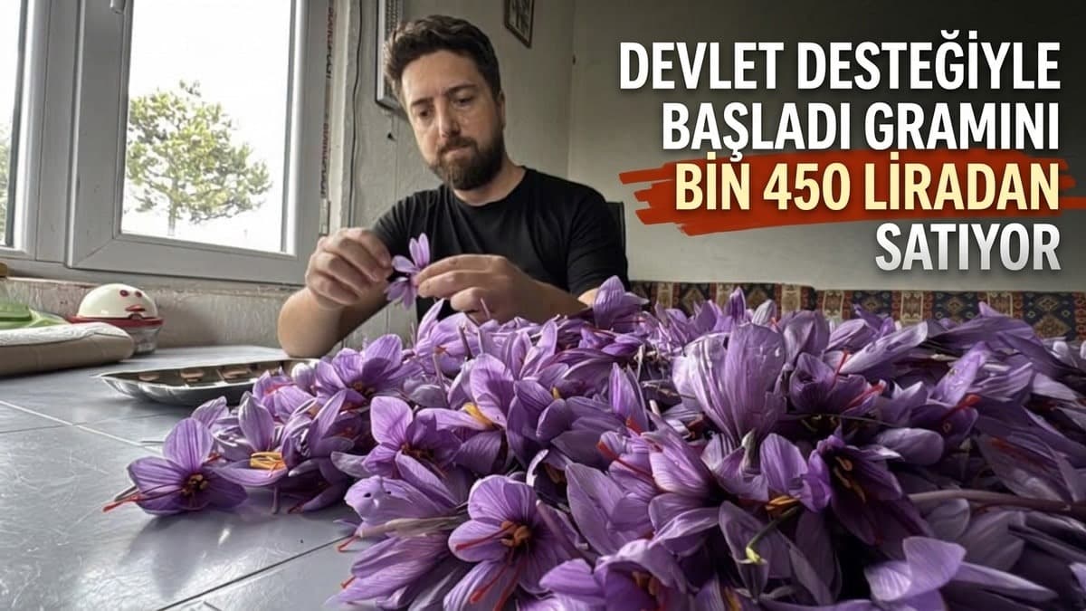 Devlet desteğiyle başladı gramını bin 450 liradan satıyor