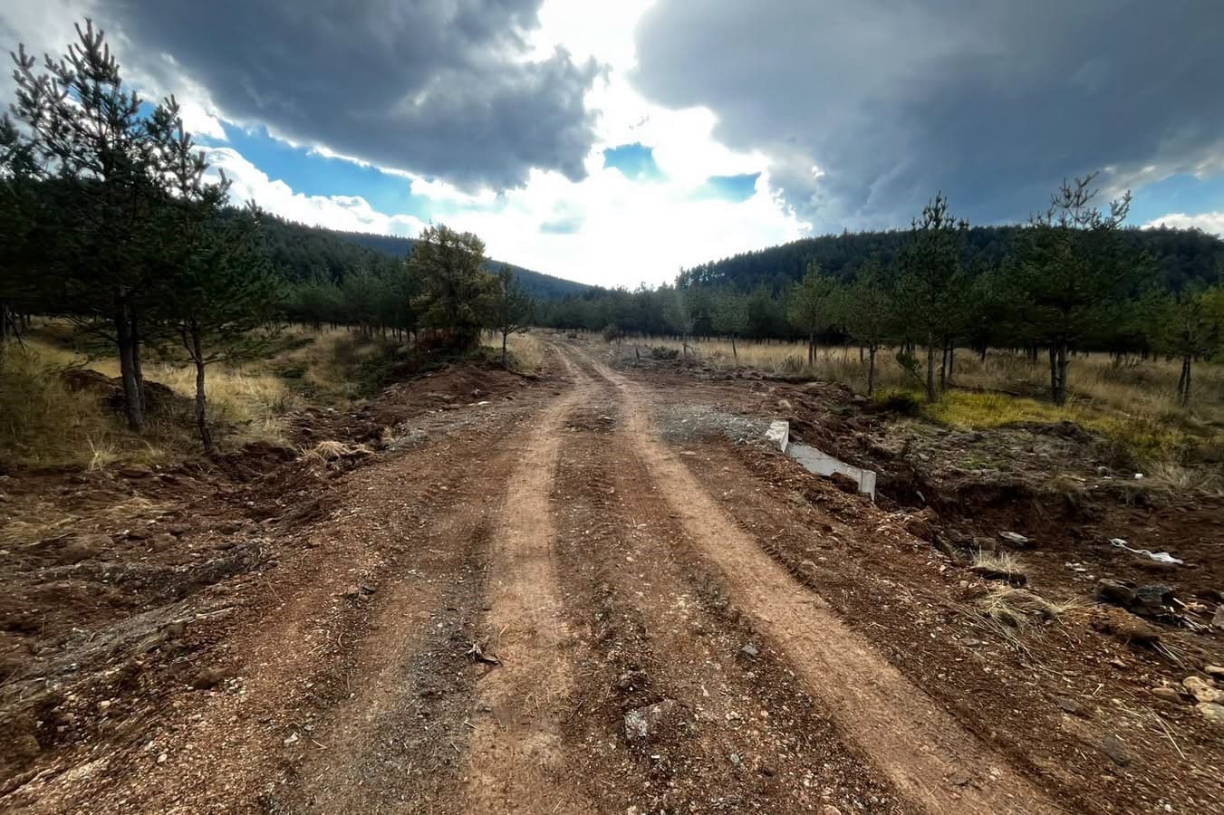Bolu’da orman yangınlarına müdahaleyi kolaylaştıracak çalışma