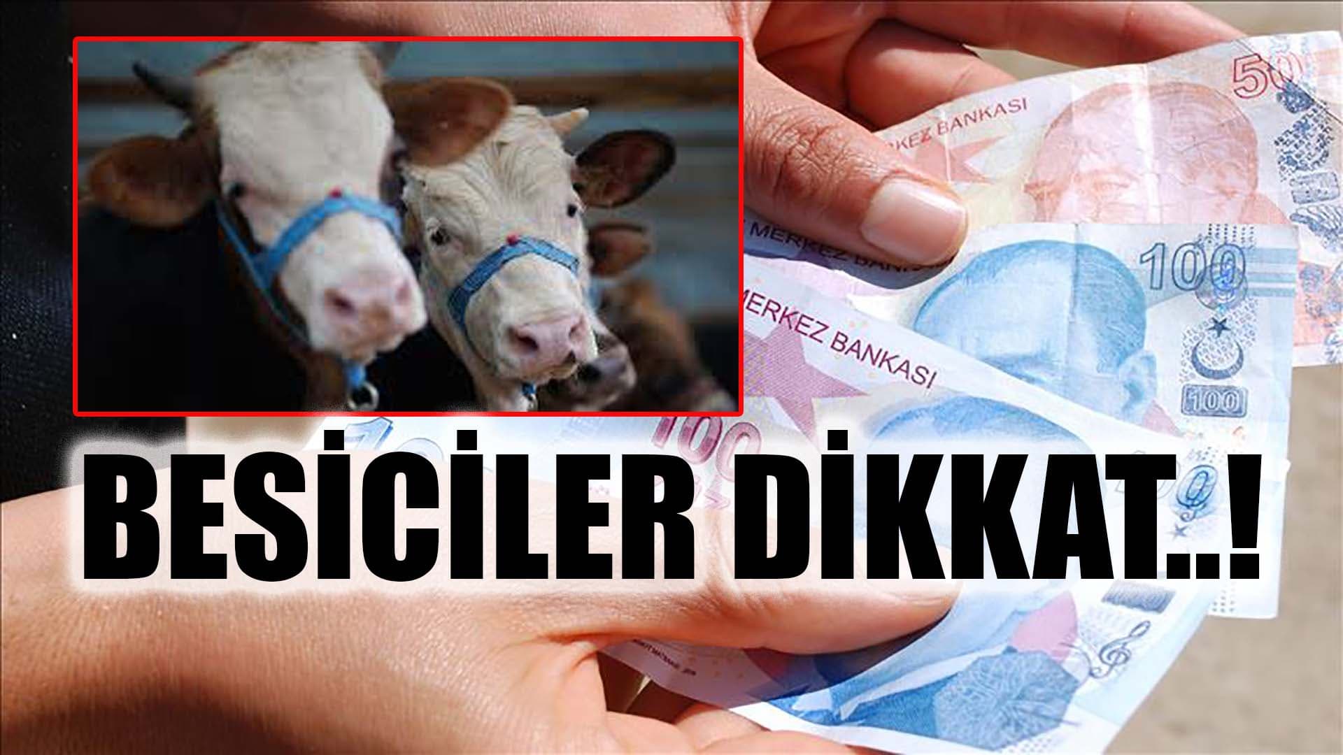 Besicilere 'sahte para' uyarısı