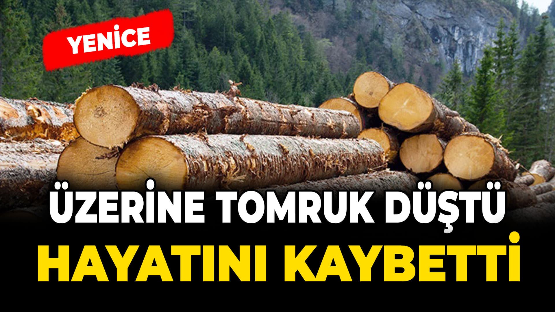 Yenice'de üzerine tomruk düşen orman işçisi hayatını kaybetti