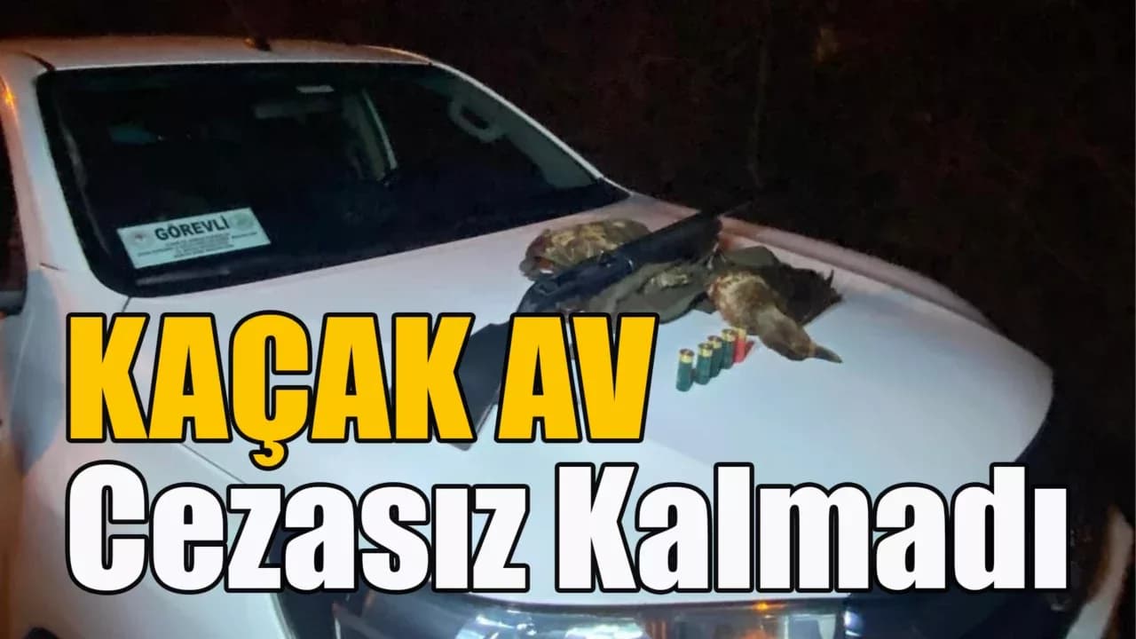 Komşuda Kaçak Av'a Geçit Verilmedi
