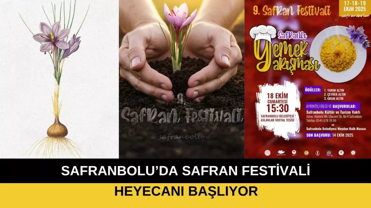 SAFRANBOLU’DA SAFRAN FESTİVALİ HEYECANI BAŞLIYOR