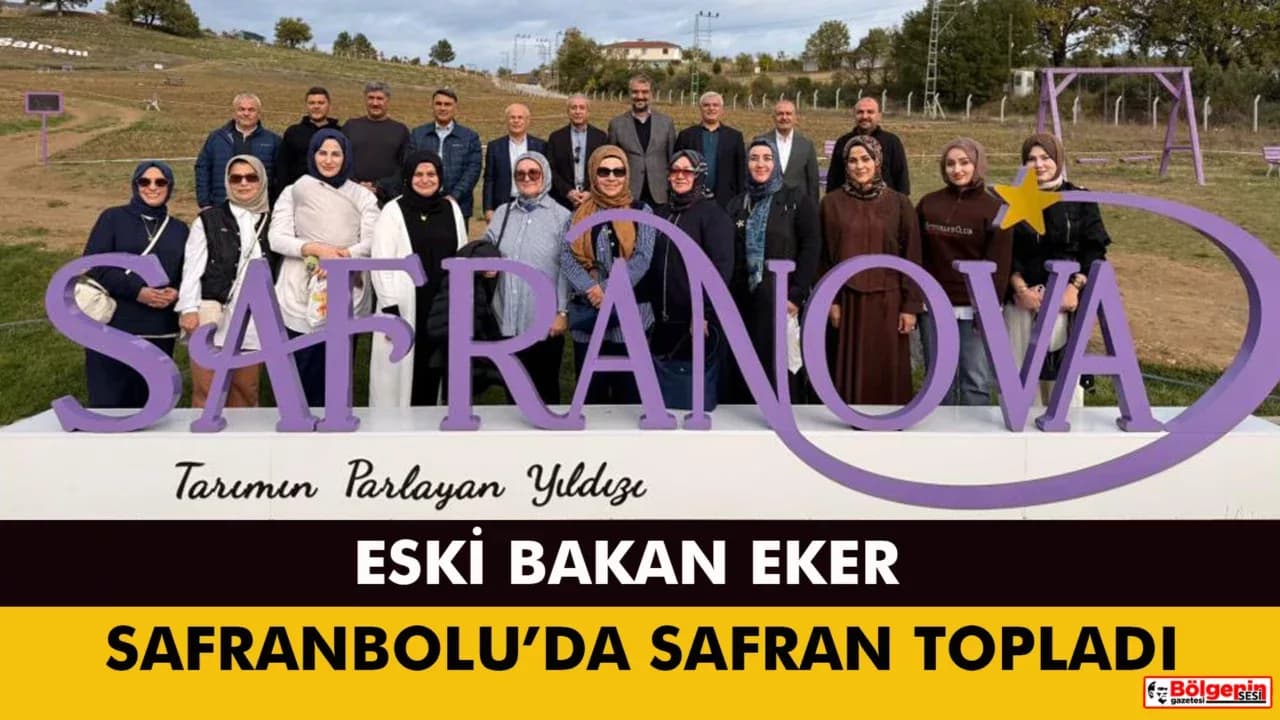 Eski Tarım Bakanı Mehdi Eker Safran Hasadı Yaptı