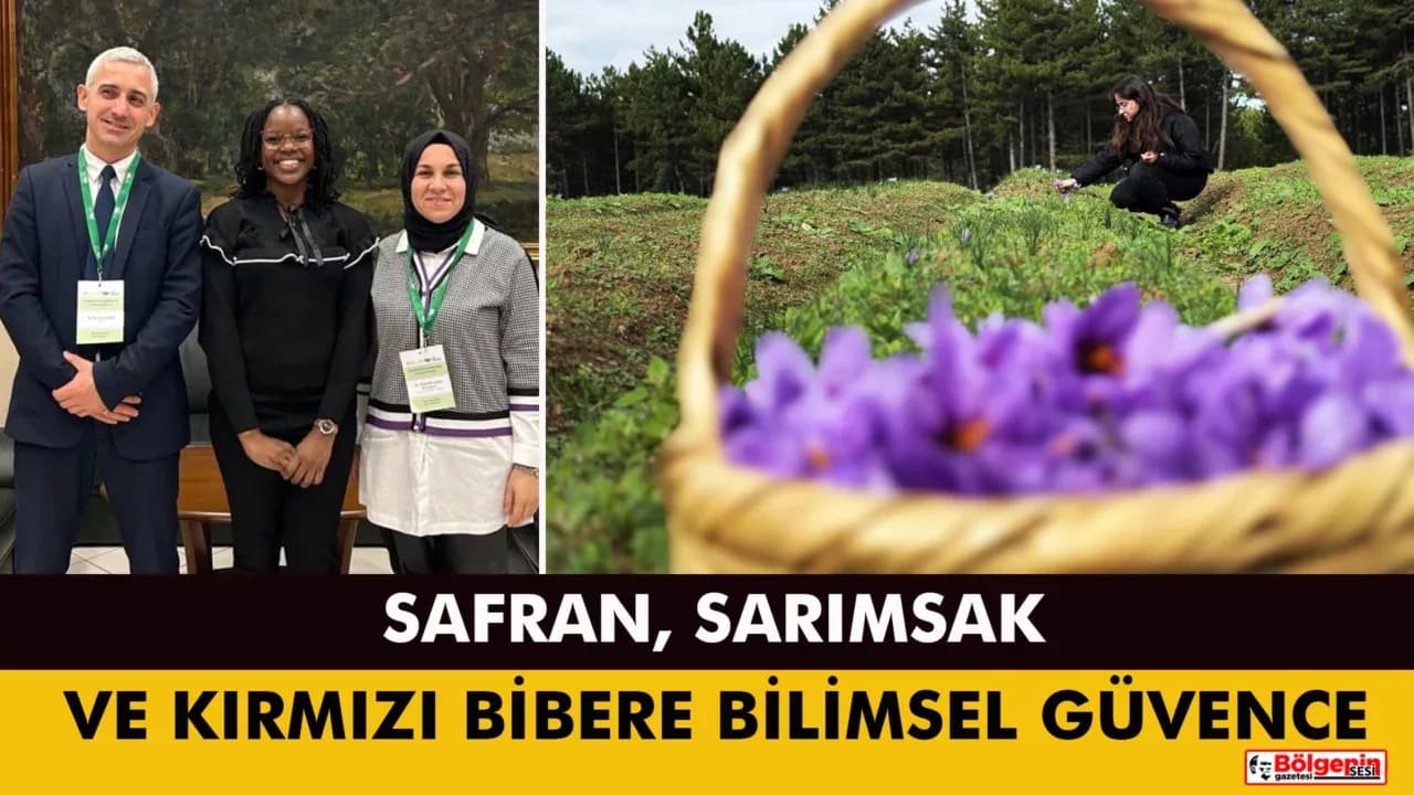 Safran, sarımsak ve kırmızı bibere bilimsel güvence