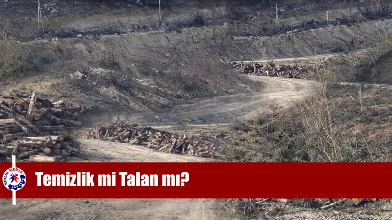 TEMİZLİK Mİ YAPILIYOR TALAN MI EDİLİYOR?