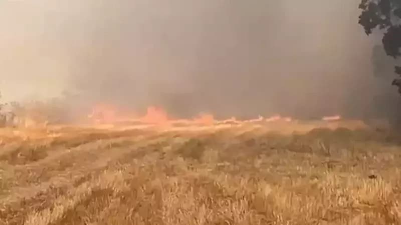 Eskipazar'da anız yangını korkuttu