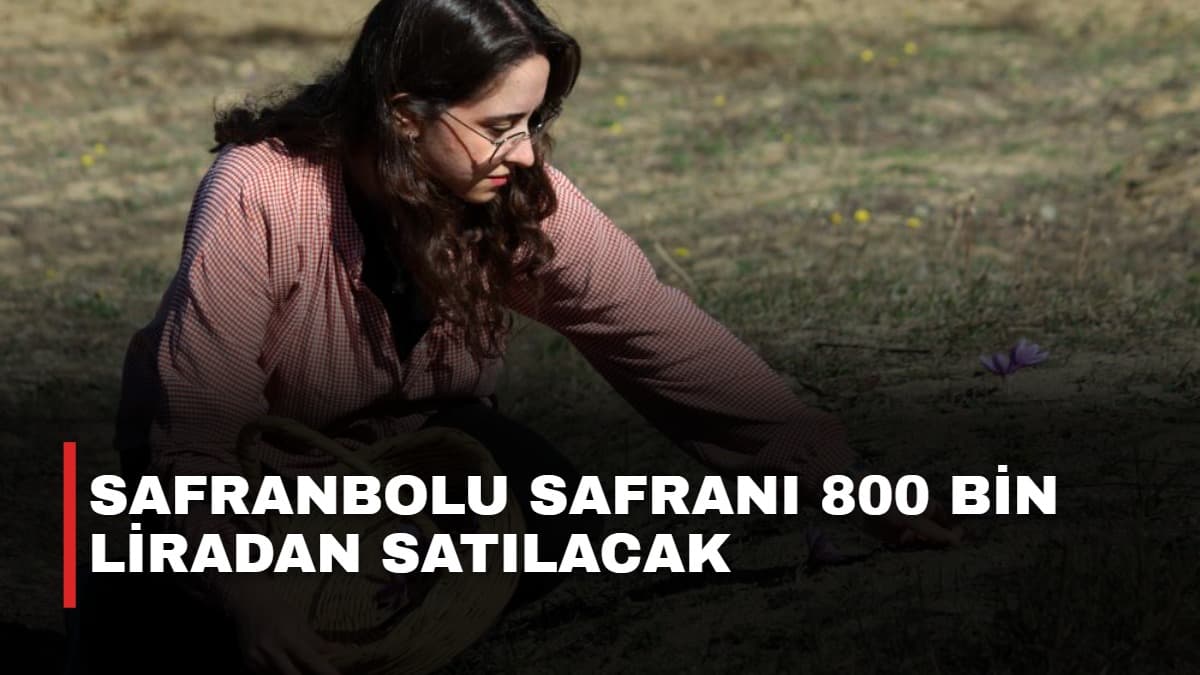 Safranbolu safranı 800 bin liradan satılacak