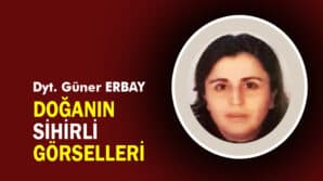 DOĞANIN SİHİRLİ GÖRSELLERİ