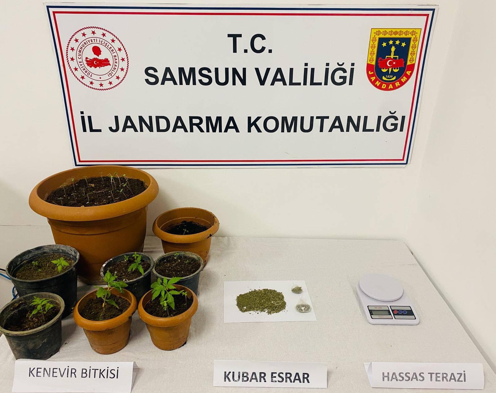 Samsun'da uyuşturucu operasyonunda 1 zanlı yakalandı