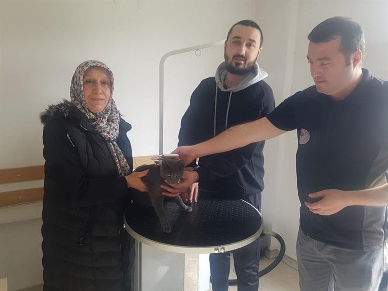 Düzce'de bulunan kedinin sahibine mikroçipi sayesinde ulaşıldı