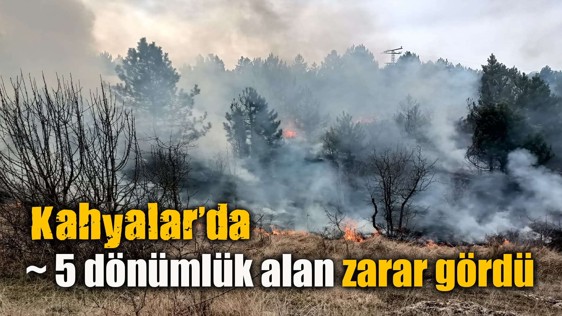Karabük'te çıkan örtü yangını söndürüldü