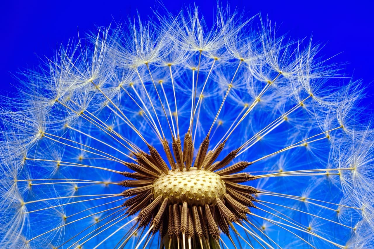 Beta Ziraat ve Ticaret AŞ çiftçi refahını yükseltmeyi hedefliyor
