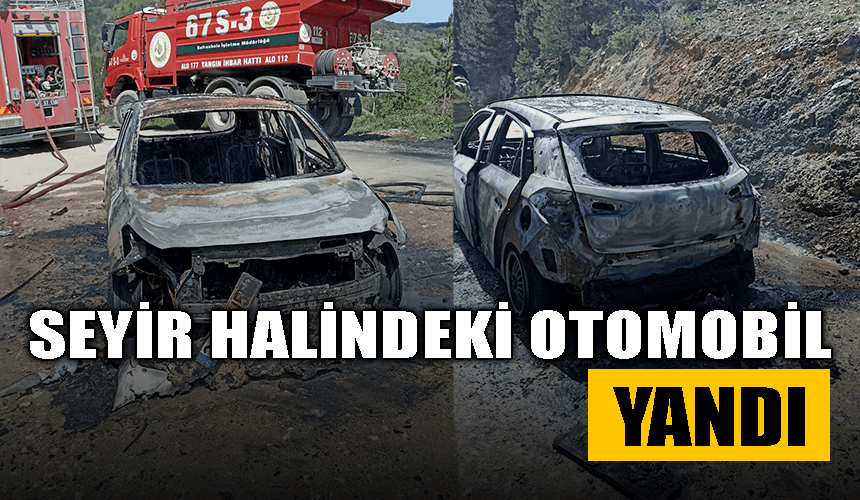 Karabük'te seyir halindeki otomobil yandı