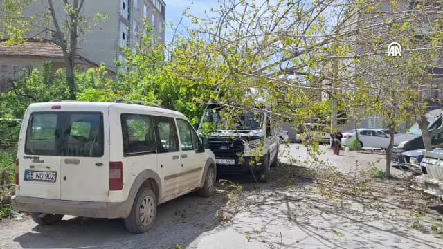 Samsun'da kesilen ağaç elektrik telini koparıp bir aracın üzerine düştü