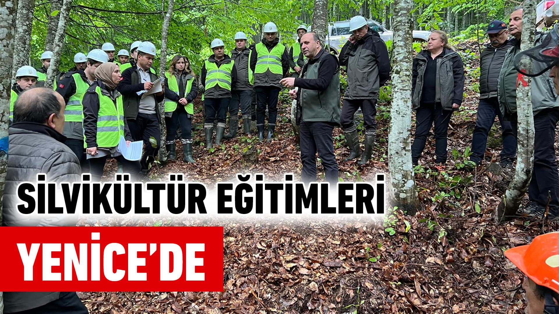 Silvikültür eğitimleri Yenice’de başladı
