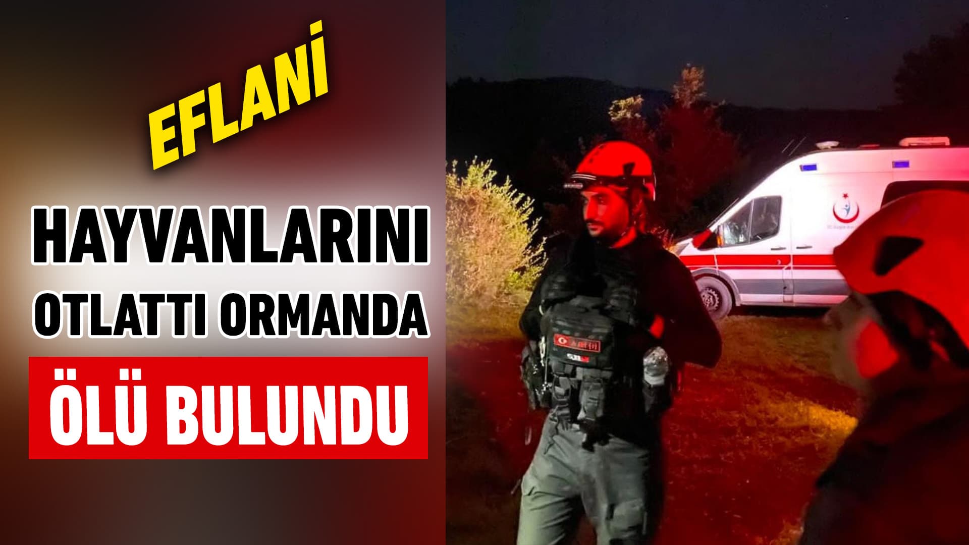 Eflani'de hayvanlarını otlatmaya giden kişi ormanda ölü bulundu