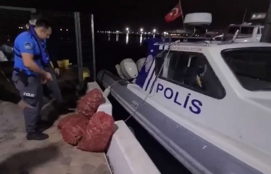 Samsun'da kaçak salyangoz avcılığı yapan kişiye 66 bin 114 lira ceza kesildi