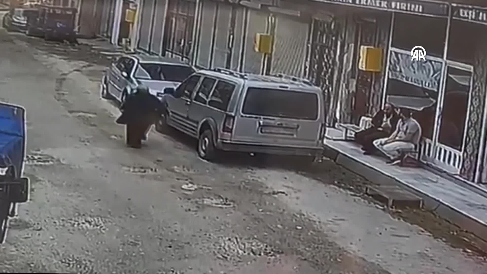 Ordu'da sahipsiz köpeğin saldırdığı kadın yara almadan kurtuldu