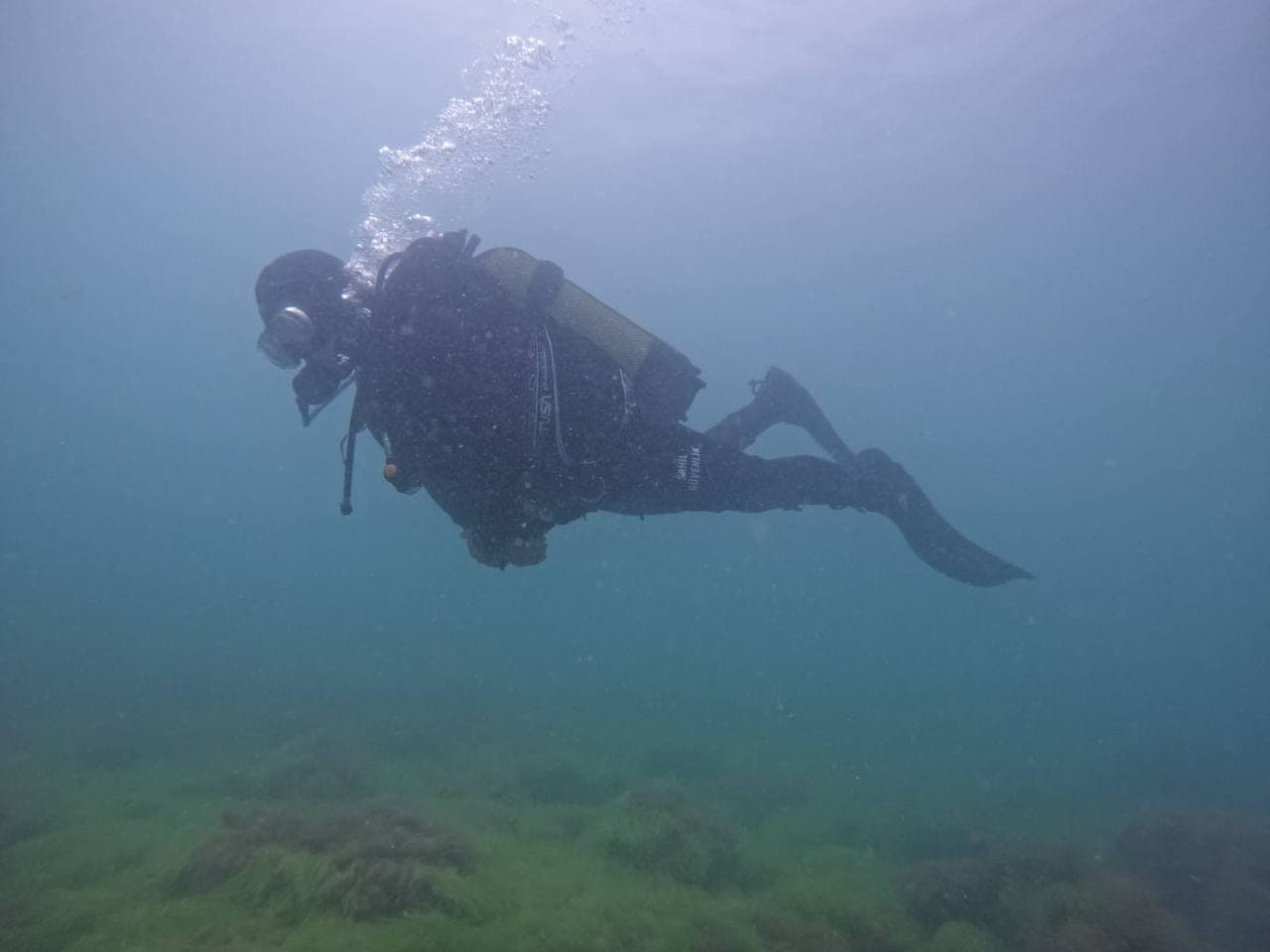 Kastamonu'nun Ginolu Limanı ve koyunda öğrencilerle dalgıçlar temizlik yaptı