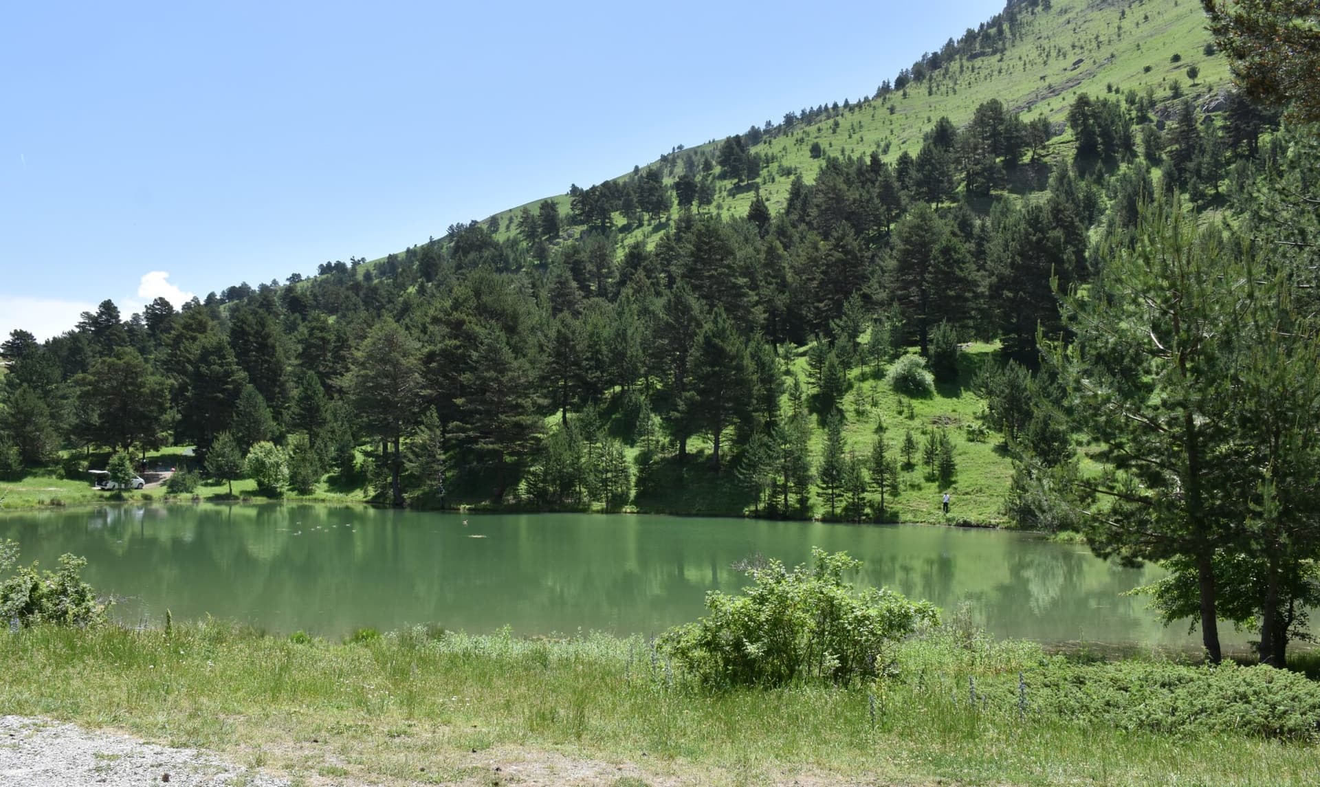 Torul'daki Altınpınar Limni Gölü'nde güzel görüntüler oluştu