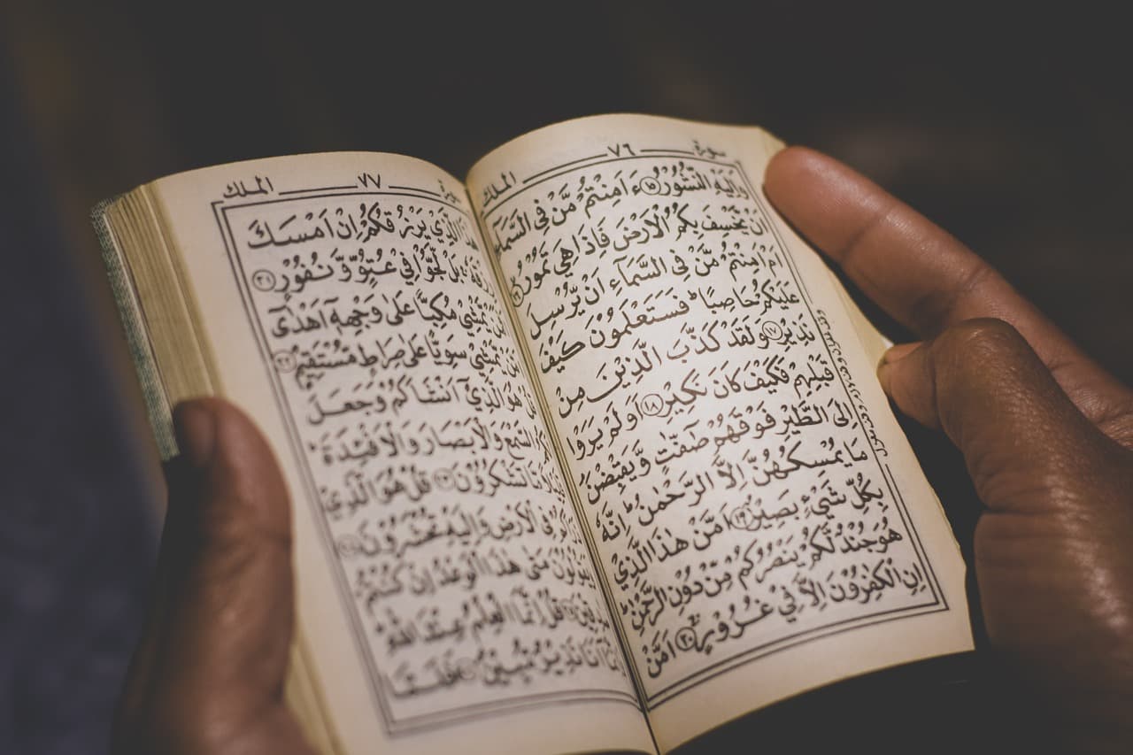 Tarım ve Orman Bakanı Yumaklı, Kastamonu Valiliğindeki bayramlaşma töreninde konuştu:
