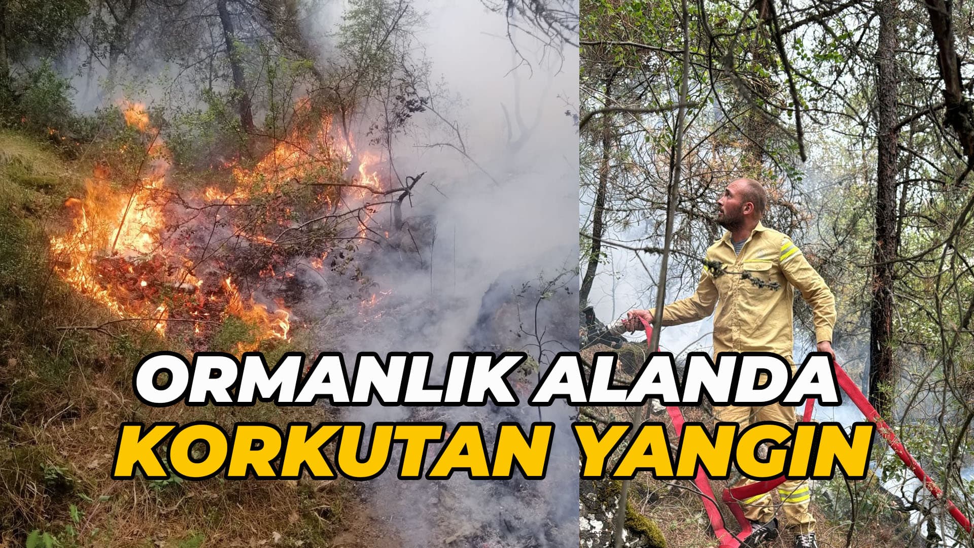 Karabük'te ormanlık alanda çıkan yangın 5 saatte kontrol altına alındı