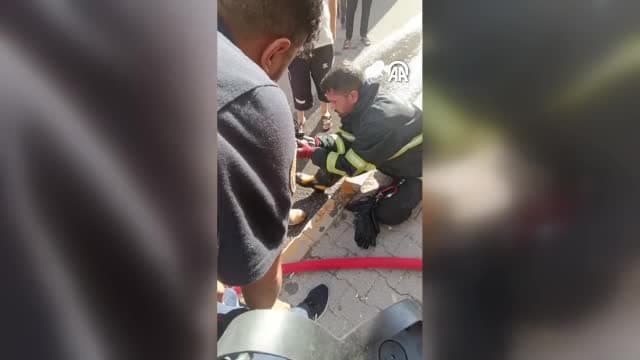 Diyarbakır'da dumandan etkilenen kedi yavrusuna oksijen takviyesi