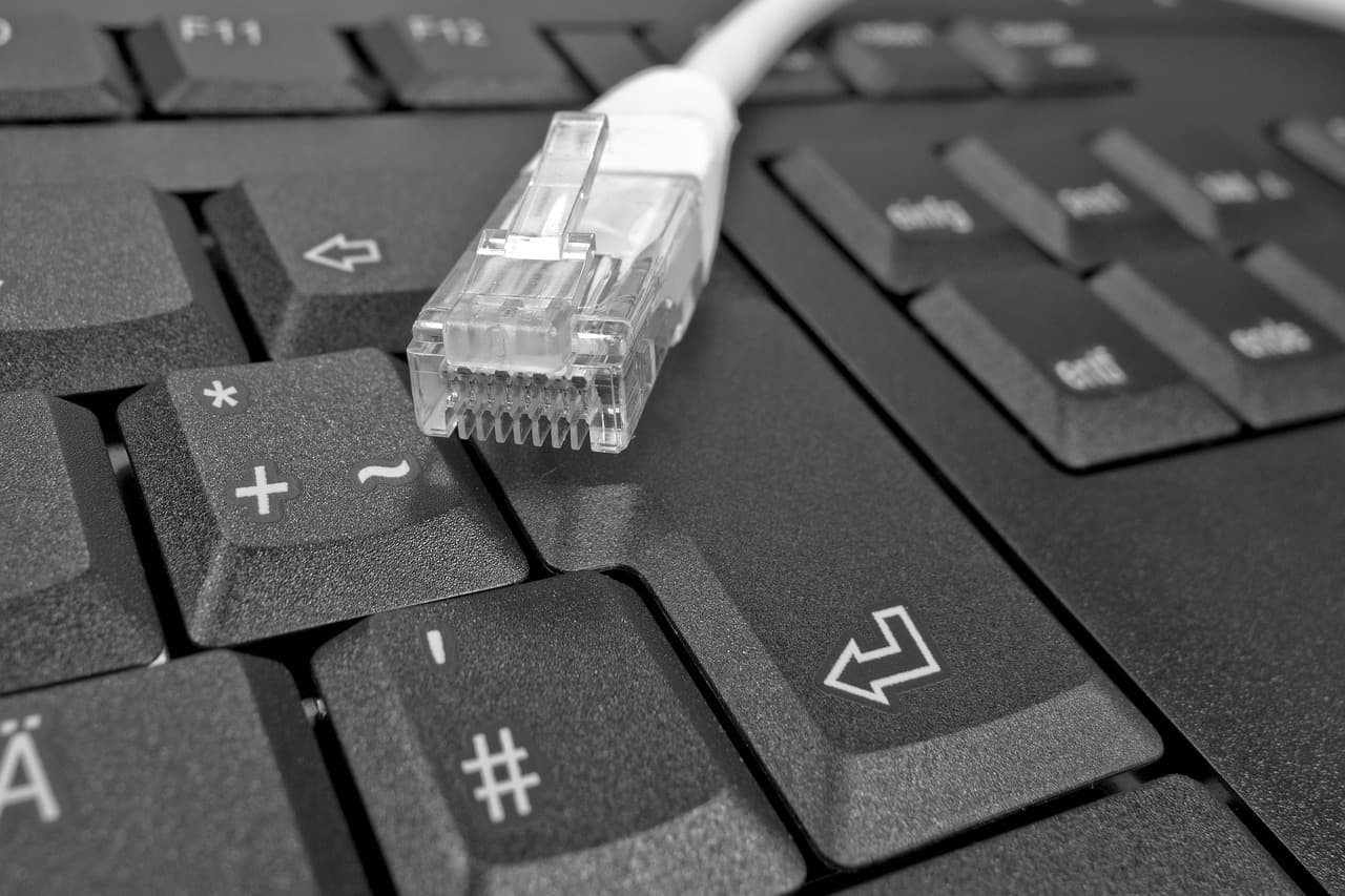 UNDP'nin desteklediği kalıcı organik kirleticilerle mücadele projesi tamamlandı