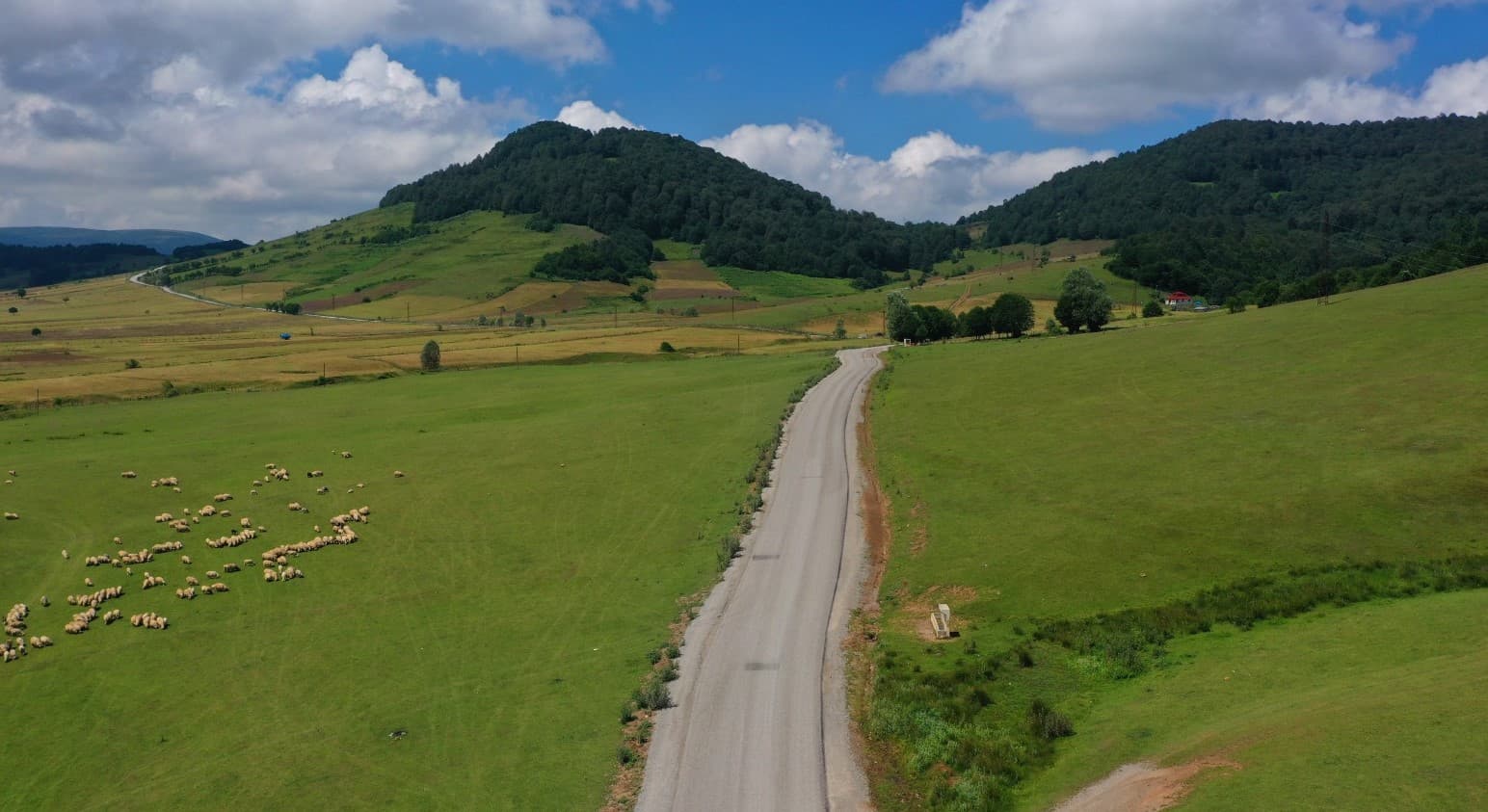 Ordu'nun Uluvahta Yaylası yolu asfaltlanıyor