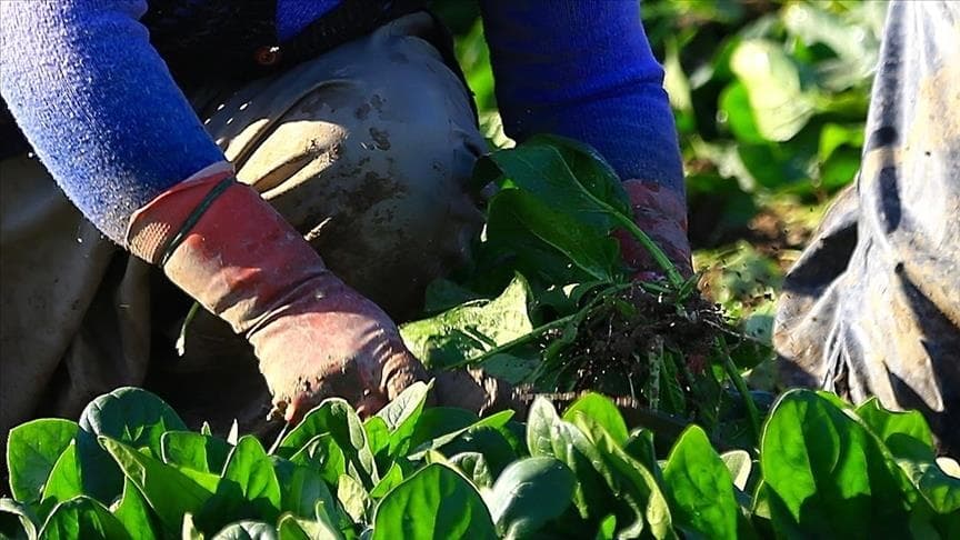 "TKDK Proje Hazırlama Eğitimi" başlıyor