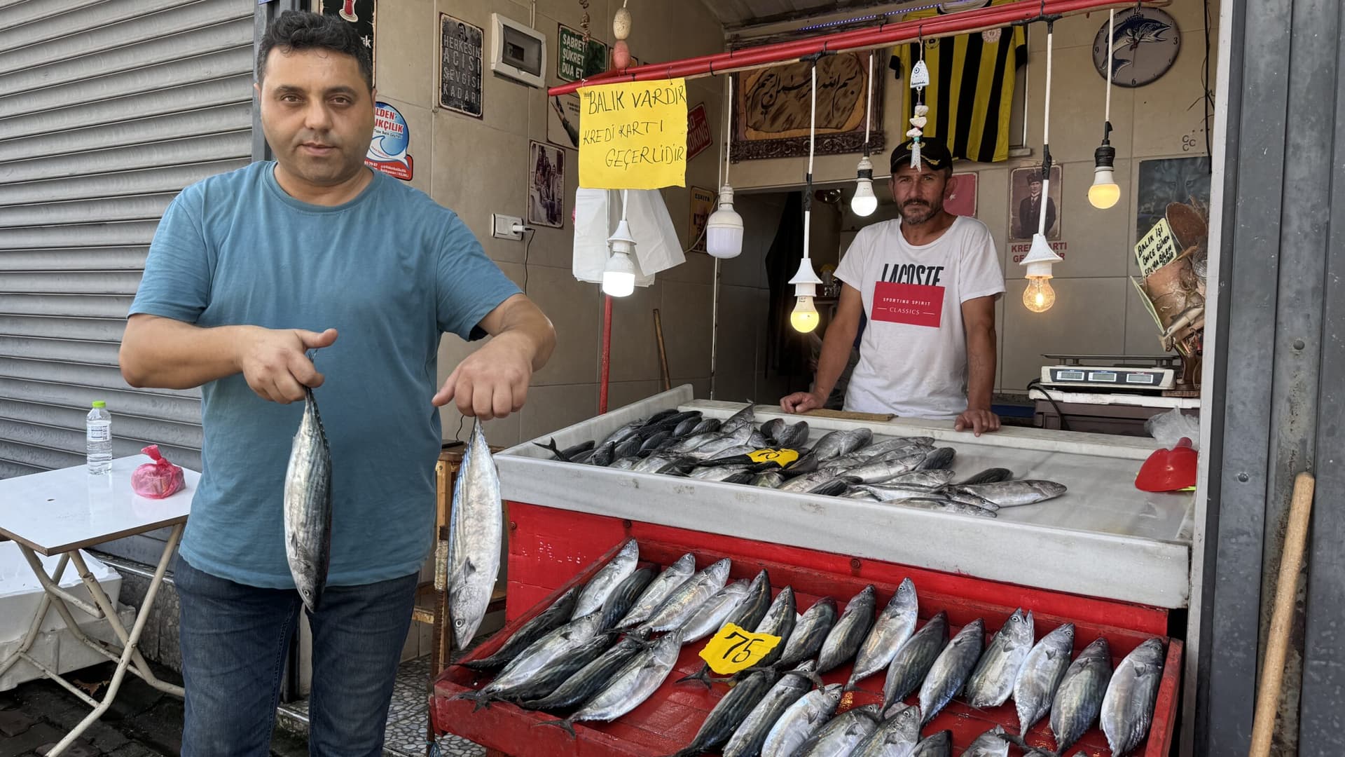 Karadeniz'de palamut bereketi yaşanıyor