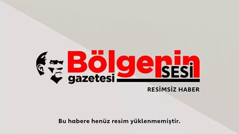 Zonguldak'ta ormanda defne yaprağı toplarken kaybolan kadın bulundu