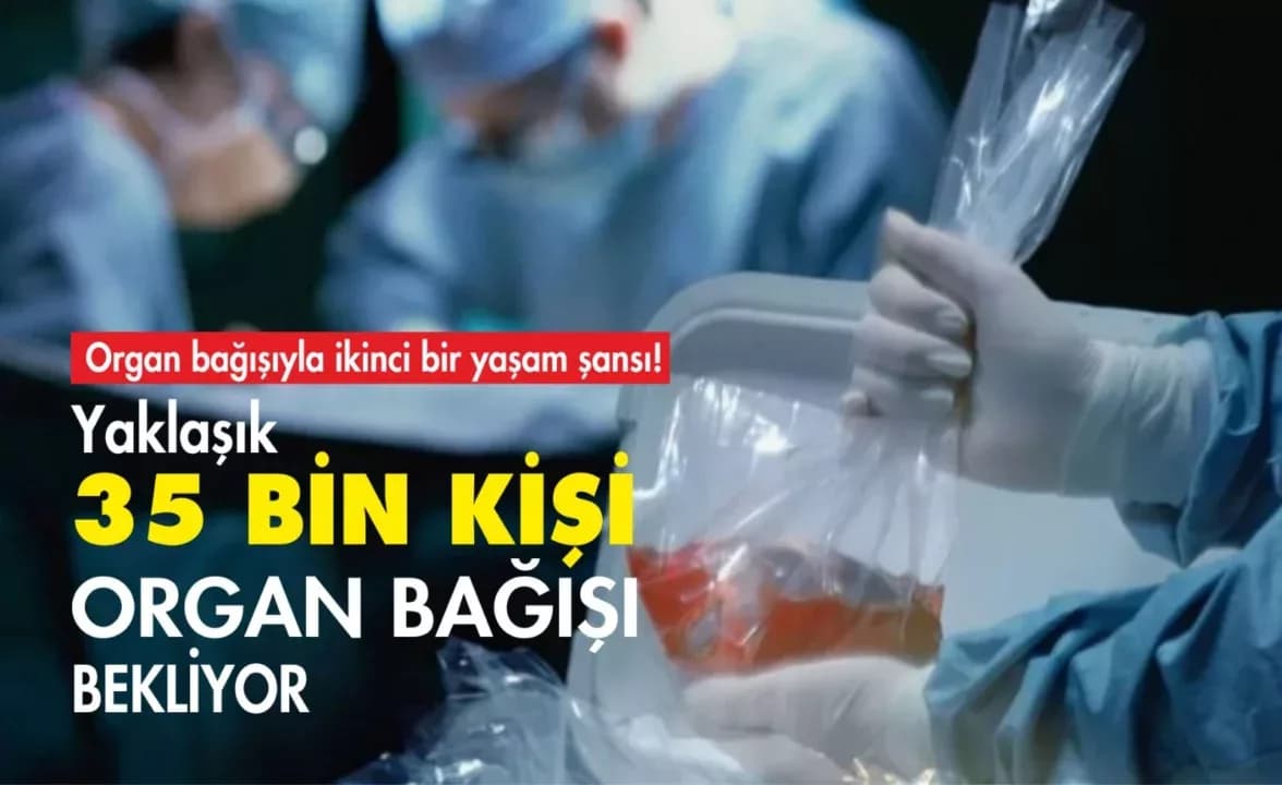 Türkiye’de 35 Bin Kişi Organ Bağışı Bekliyor