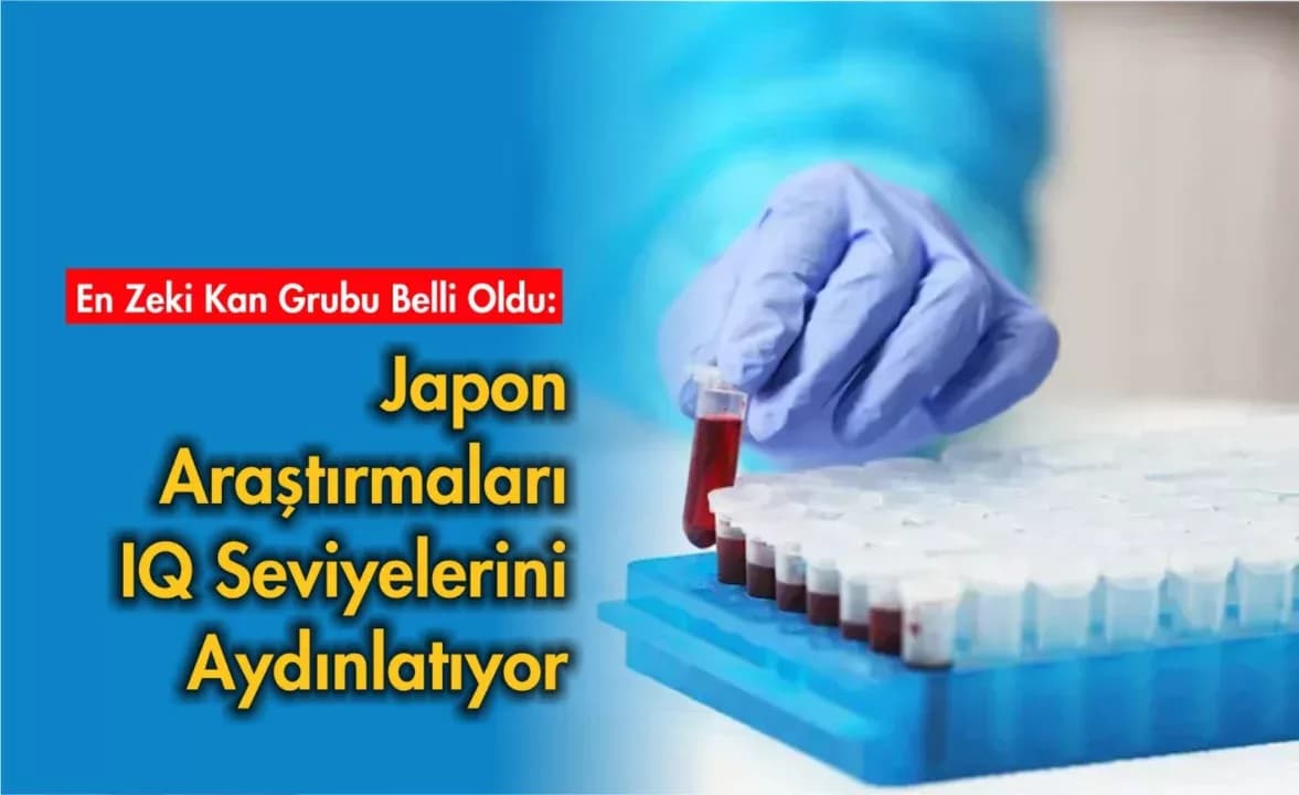 Kan Grubuna Göre Zeka: Japon Bilim İnsanlarından Çarpıcı Bulgular