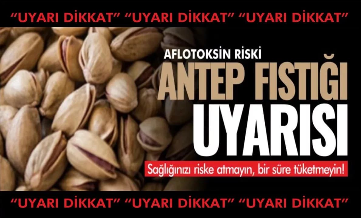 Antep fıstığı uyarısı: Sağlığınızı riske atmamak için bir süre tüketmeyin!