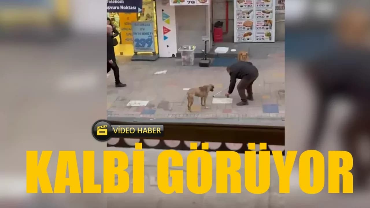 Karabük'te görme engelli seyyar satıcının mama bırakması kameraya yansıdı