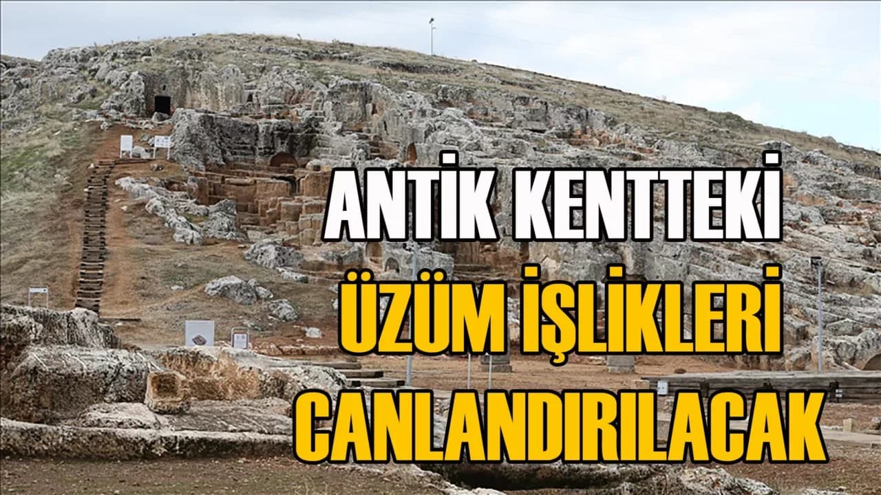 Perre Antik Kenti'nde 1800 yıl önceki üzüm işliği canlandırılacak