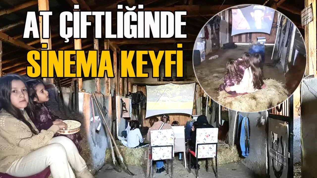 Çocukların at çiftliğinde saman balyaları üstünde sinema keyfi