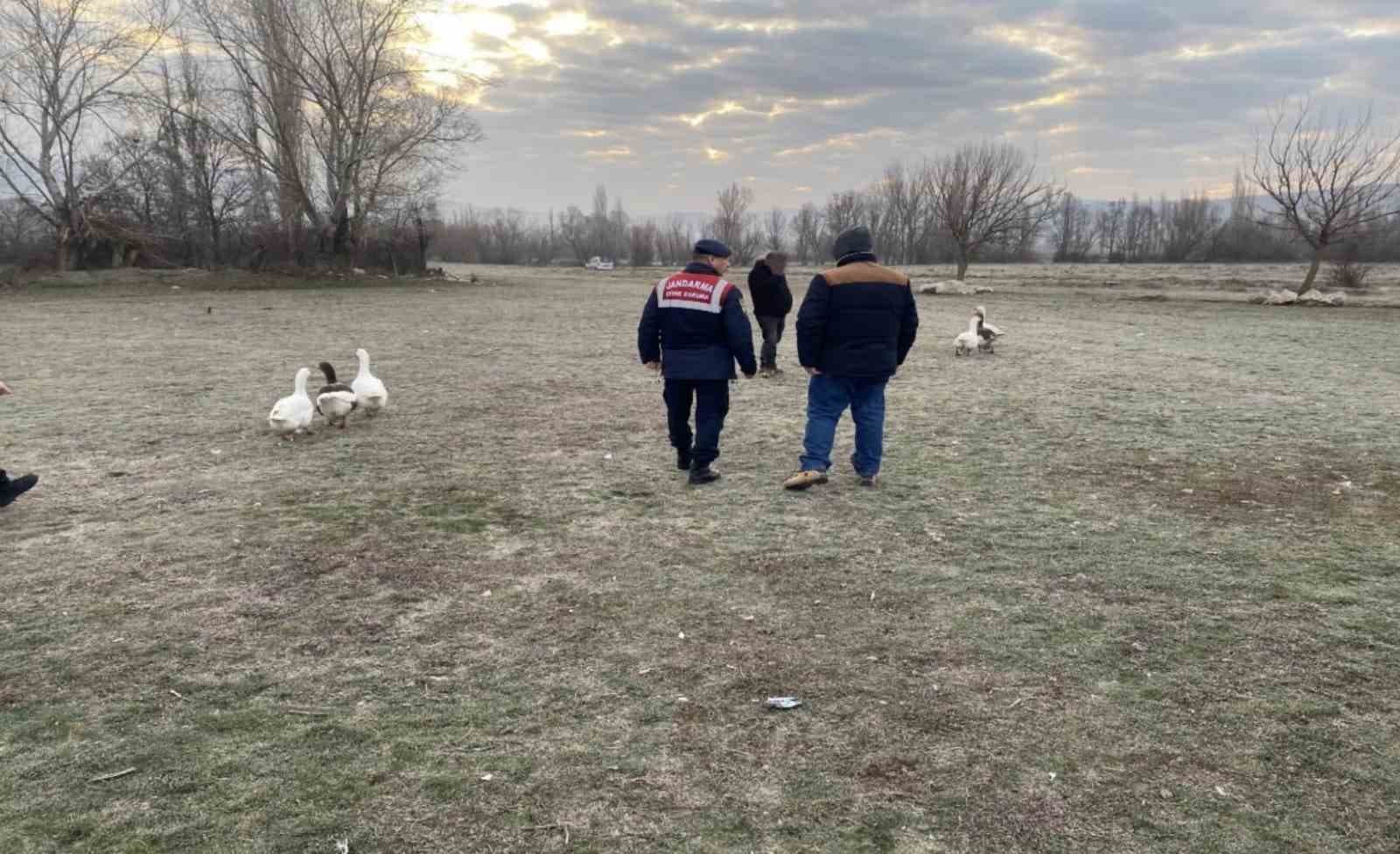 Kaz dövüşü yaptıran 7 şahsa suçüstü baskın: 72 bin lira ceza uygulandı