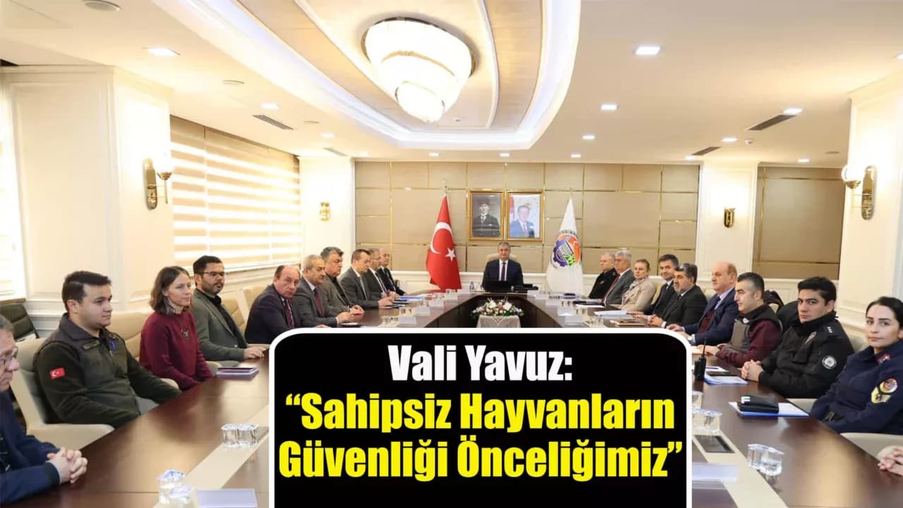 Karabük'te Sahipsiz Hayvanlar İçin Yeni Barınma Alanları Planlanıyor