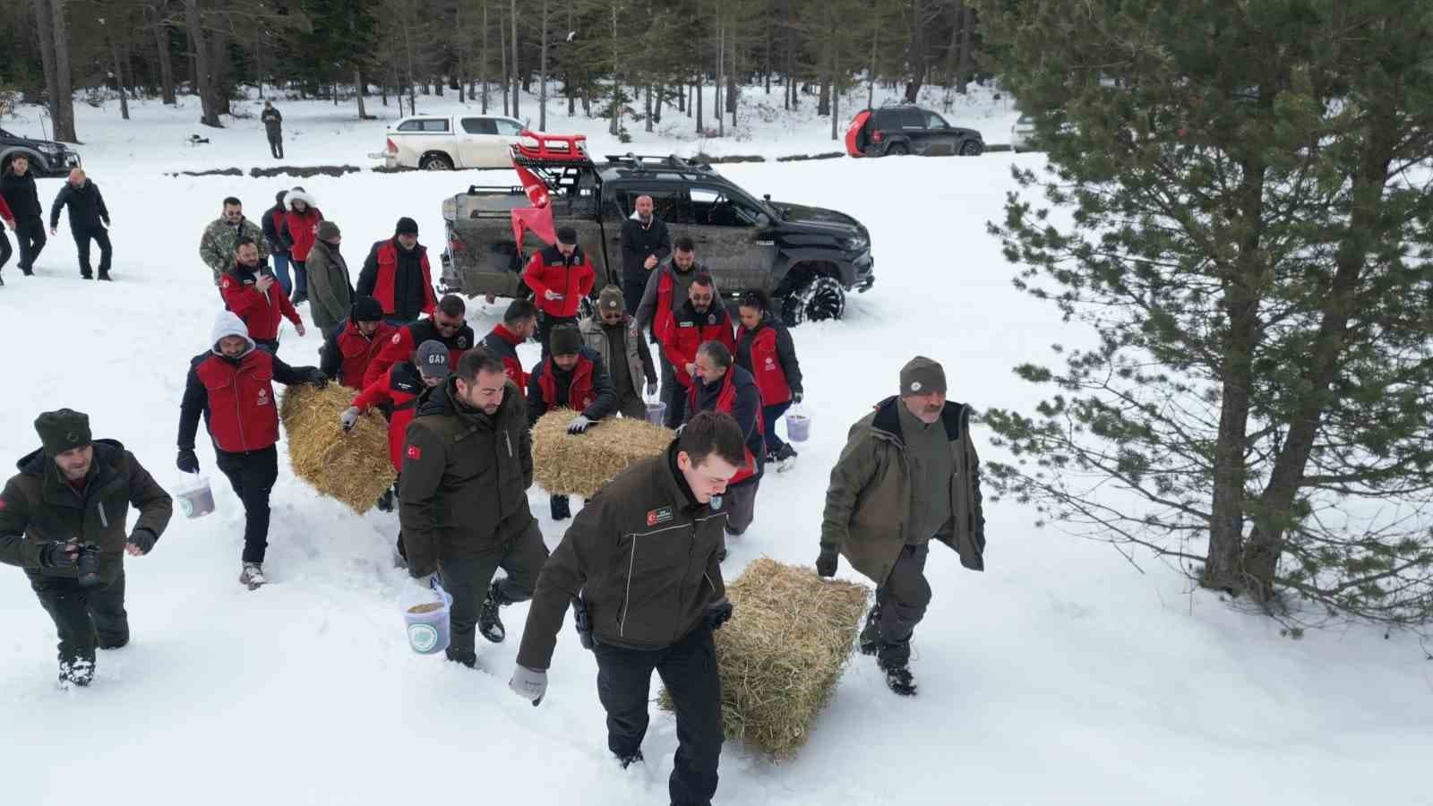 Kastamonu’da yaban hayvanları için doğaya yem ve yiyecek bırakıldı