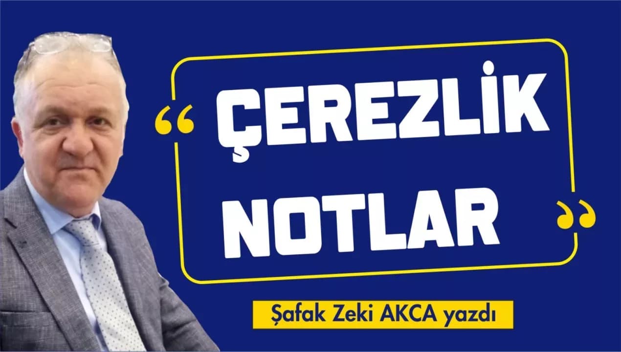ÇEREZLİK NOTLAR