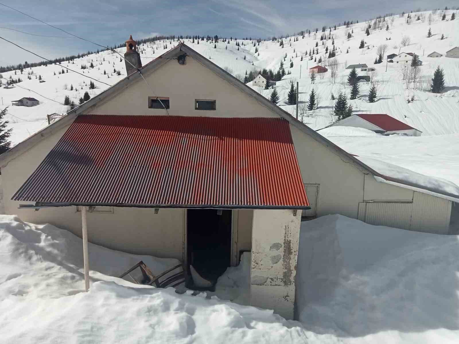 Sis Dağı Yaylası’nda çığ faciası sonrası bu kez de ayı faciası yaşanıyor