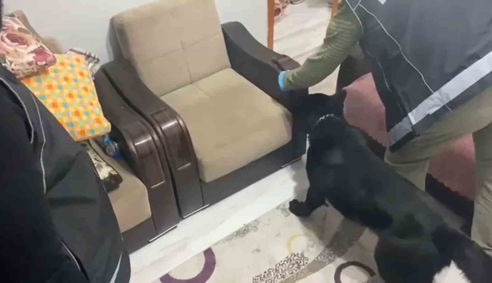Evdeki koltuğa zulalanmış metamfetamini narkotik köpeği Tony buldu