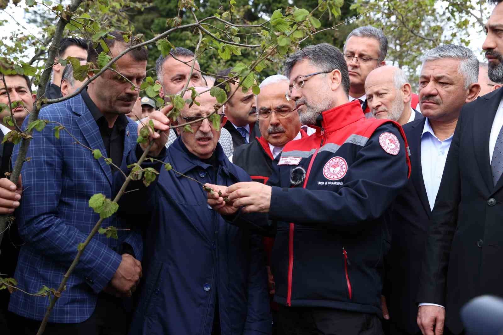 Bakan Yumaklı: "Zirai don nedeniyle zarar gören ağaçlarda kulaktan dolma bilgilerle budama yapılmamalı"