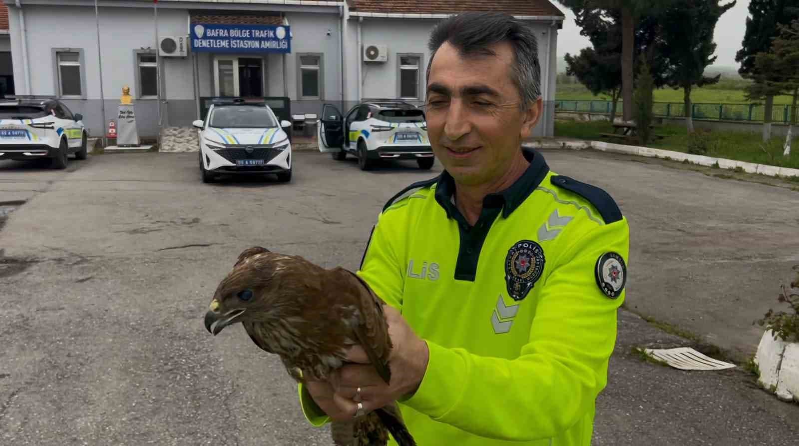 Polisin bulduğu yaralı halde bulduğu doğan koruma altına alındı