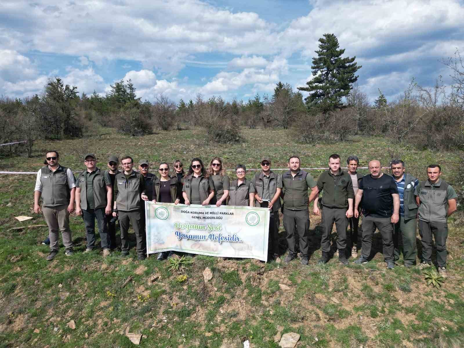 Kastamonu’da yaban hayatı için ormanlık alana fidan dikildi